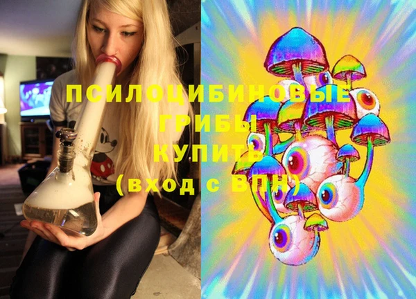 героин Алексин