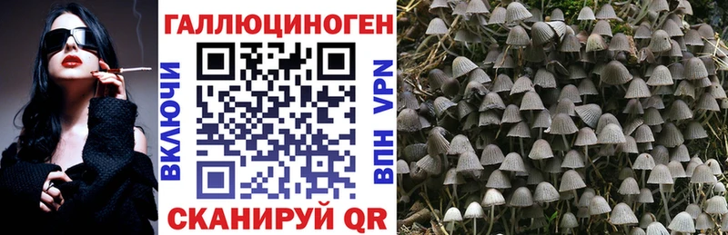 Псилоцибиновые грибы Magic Shrooms  где продают   Ермолино 
